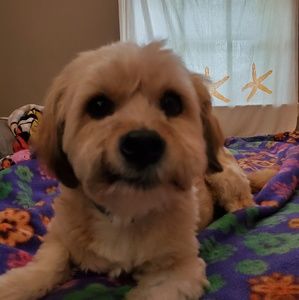 Meet your Posher, Karen